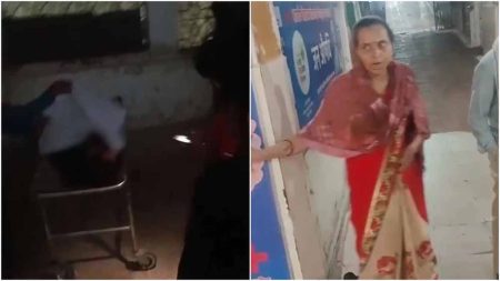 पोस्टमार्टम के लिए रखे शव का गला ही खा गए कुत्ते, मध्यप्रदेश के अस्तपाल का बुरा हाल