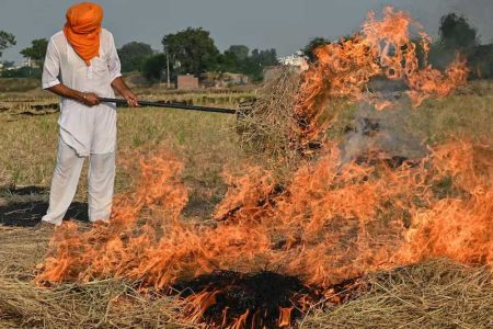 बांधवगढ़ तहसील में तीन किसानों पर नरवाई जलाने के लिए जुर्माना लगाया
