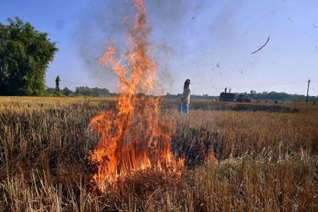 MP में प्रदूषण को रोकने के लिए सरकार ने बड़ा फैसला, पराली जलाई तो नहीं मिलेगी 'किसान सम्मान निधि'