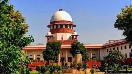 सुप्रीम कोर्ट ने दिल्ली में पटाखे जलाने के कारण होने वाले वायु प्रदूषण के मामले पर सुनवाई की, लगाया जाए पूर्ण प्रतिबंध