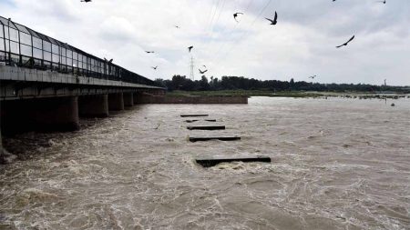वजीराबाद और चंद्रावल जल संयंत्रों में 25 से 30 फीसदी तक पानी घटा, दिल्ली में गहराया जल संकट