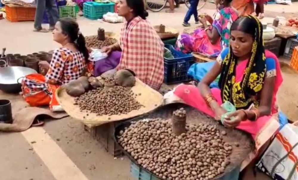 छत्तीसगढ़ में 2500, 3000 रुपये किलो बिक रहा बोड़ा 1 2 102