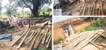 50 हजार की अवैध इमारती लकड़ी जब्त