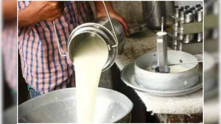 दूध में मिलावट है या नहीं, अब मशीन बताएगी 30 सेकंड में, नकली स्टार्च की भी जांच कर रही मशीन