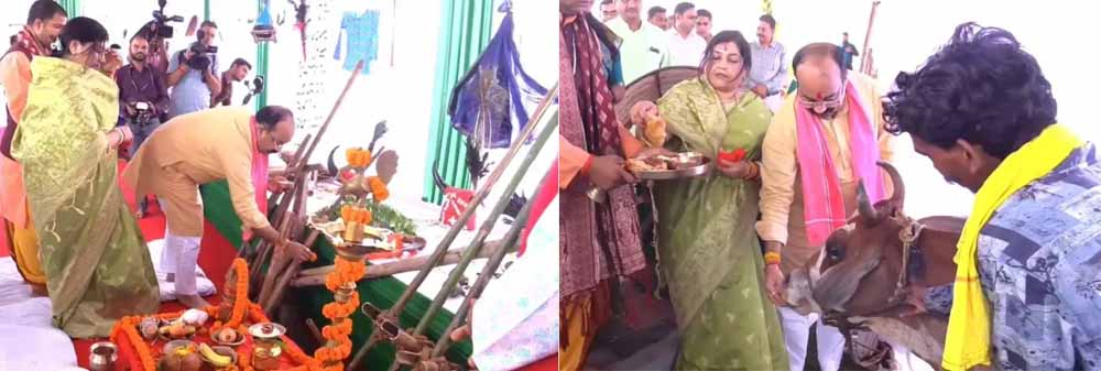 गाय को खिलाई लोंदी, गेड़ी पर चढ़कर लिया उत्सव का आनंद 1 3 321