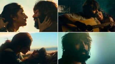 Kartik Aaryan Musical Drama Postponed:  Saiyaara की सफलता के बीच कार्तिक आर्यन और Sreeleela की म्यूजिकल ड्रामा फिल्म 2026 तक टली