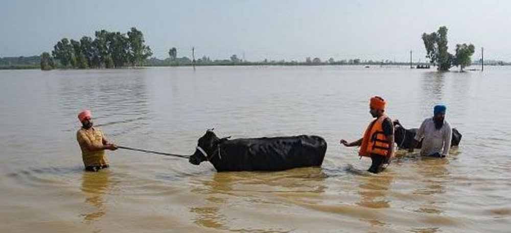 flood1
